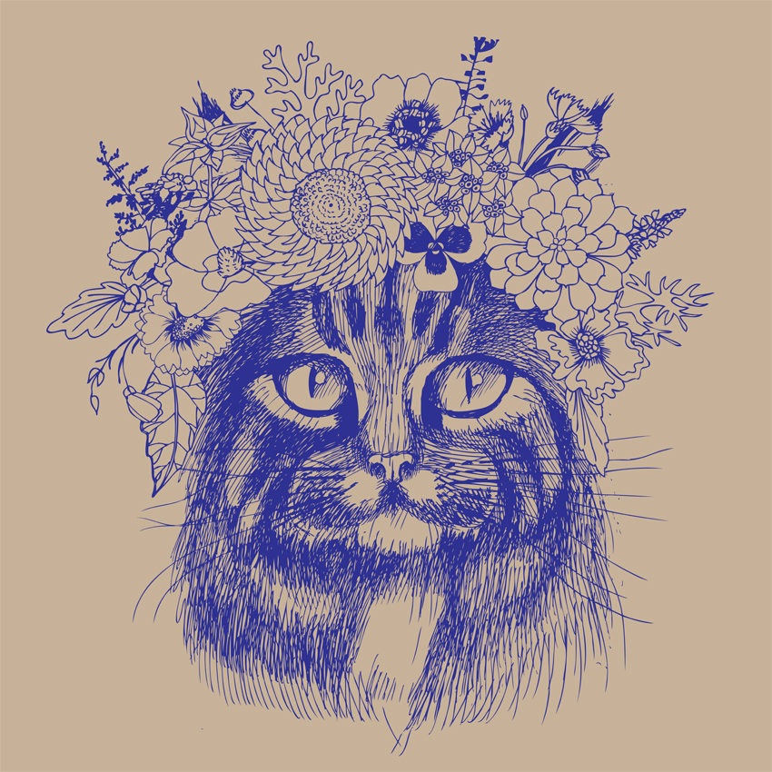 Cat Flowers_Feature