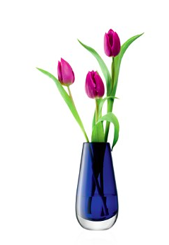 LSA Flower Color Bud Vase