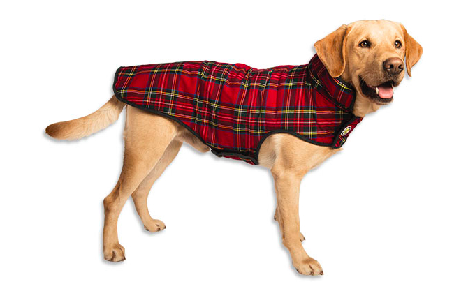 red-plaid-dog-jacket