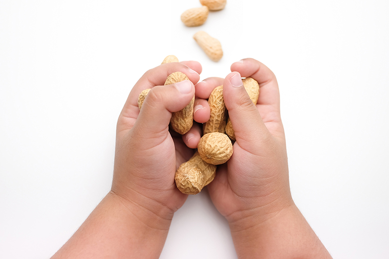 is-there-a-pathway-to-prevention-for-food-allergies-princeton-magazine